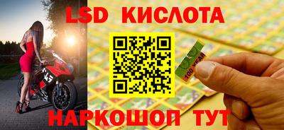 прущие крисы Новоалександровск