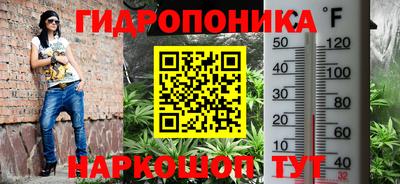 хмурый Новоалтайск