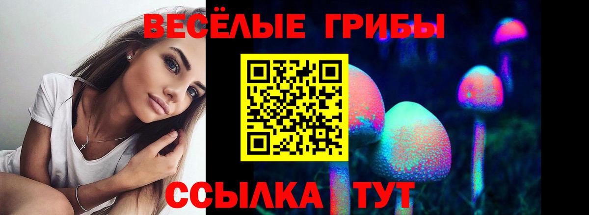 Екатеринбург  Галлюциногенные грибы мухоморы  Вход с VPN 